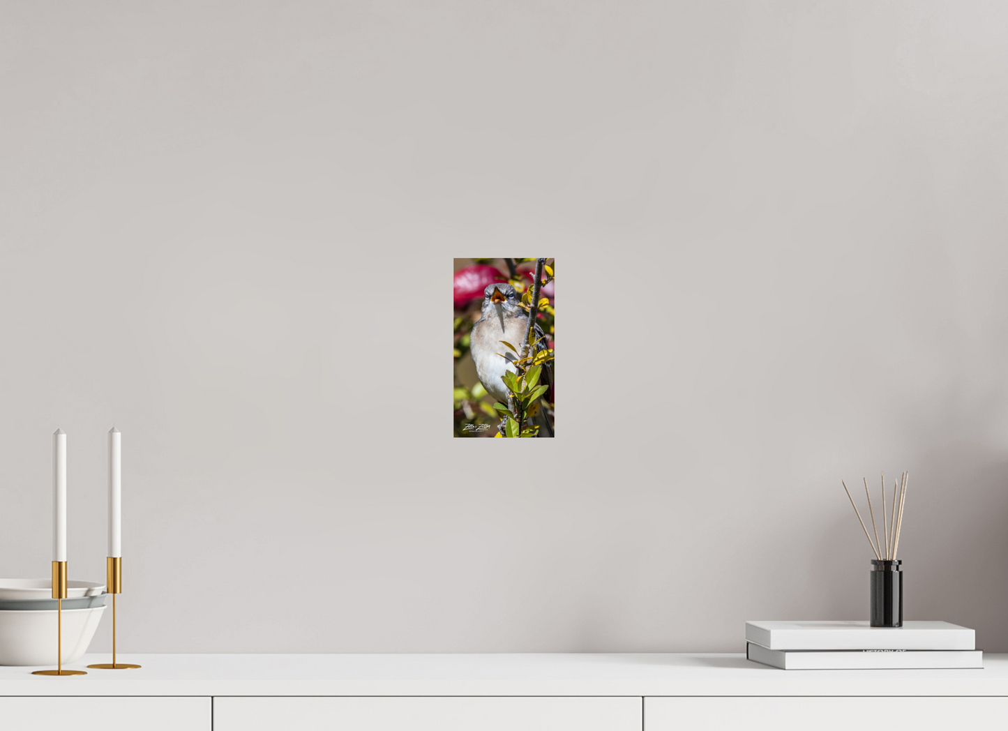 4.5 x 8″, Photo Print On Fuji Crystal DP II Zillas Zoom Image 405