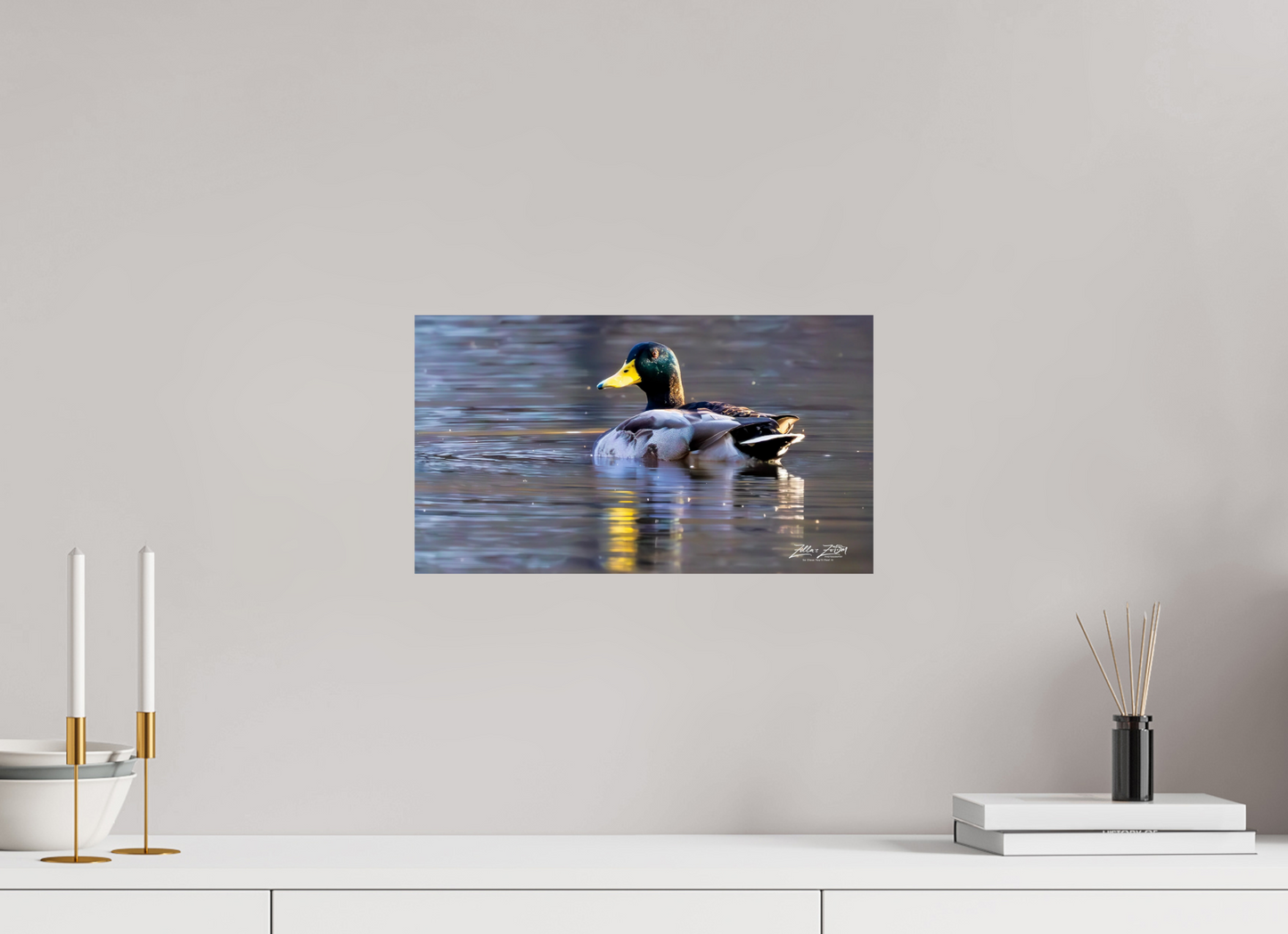 16 x 9″, Photo Print On Fuji Crystal DP II Zillas Zoom Image 334