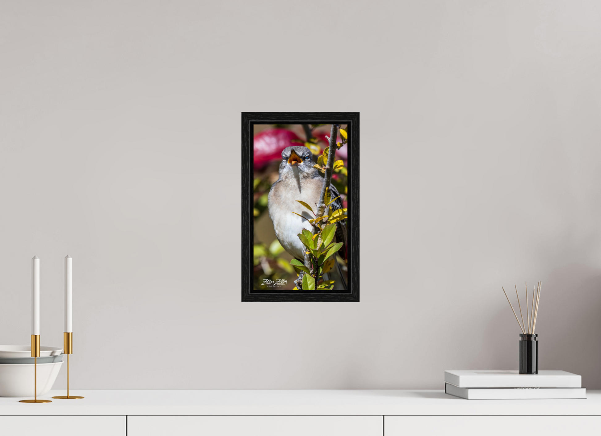 6.8 x 12″, Floater Frame Zillas Zoom Image 405