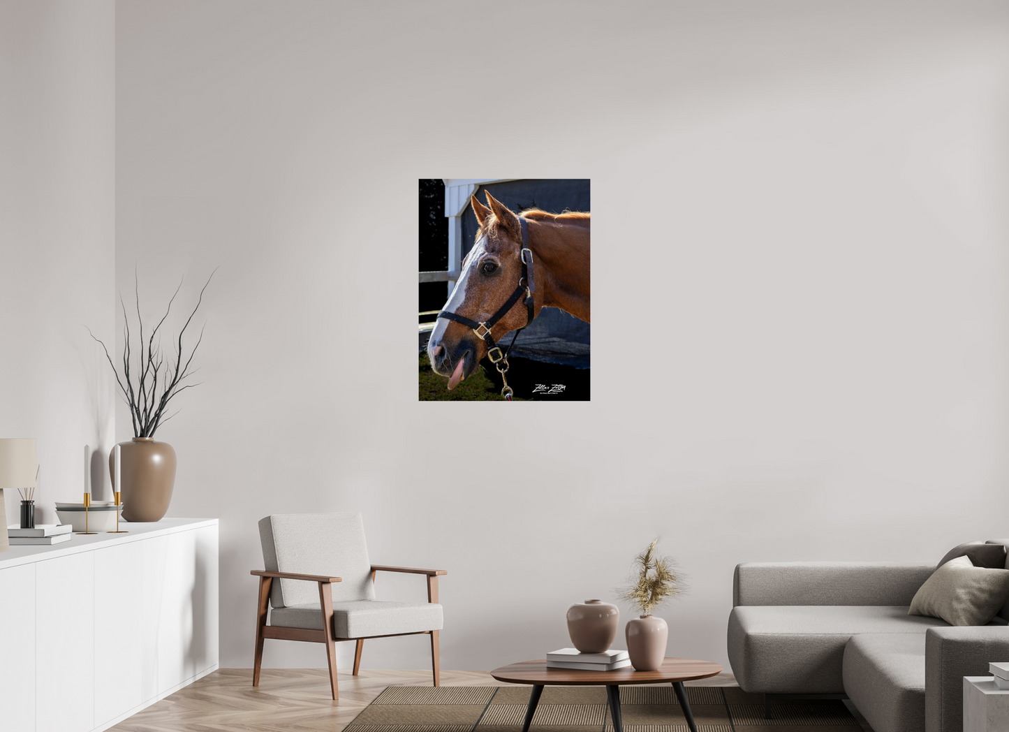 28 x 36.2″, Photo Print On Fuji Crystal DP II Zillas zoom image 157