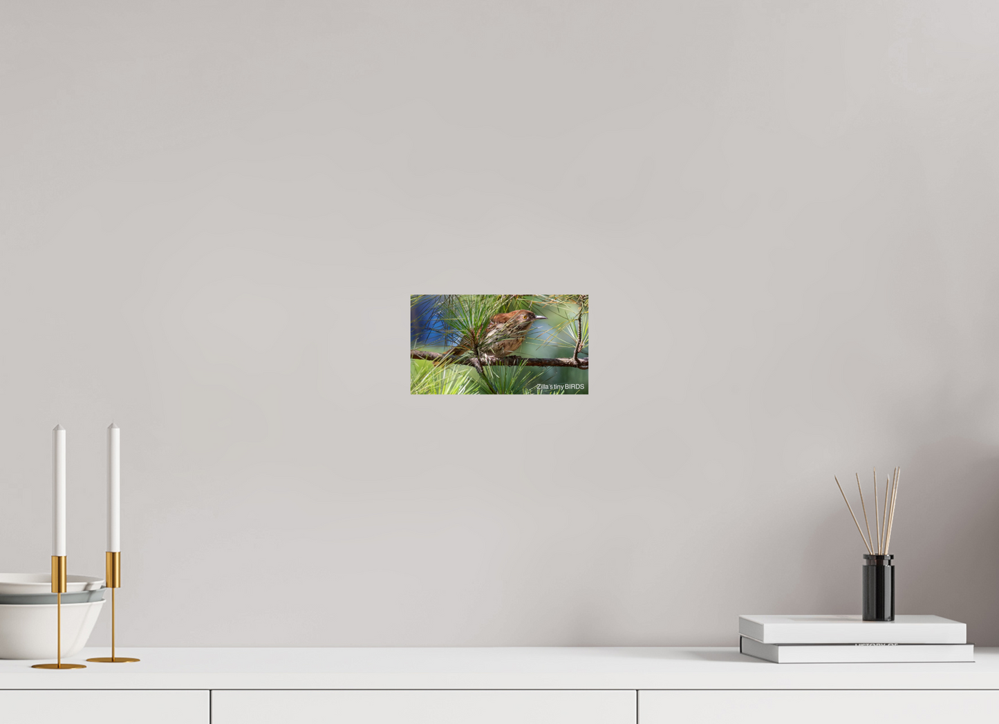 8 x 4.5″, Photo Print On Fuji Crystal DP II Zillas Zoom Image 379