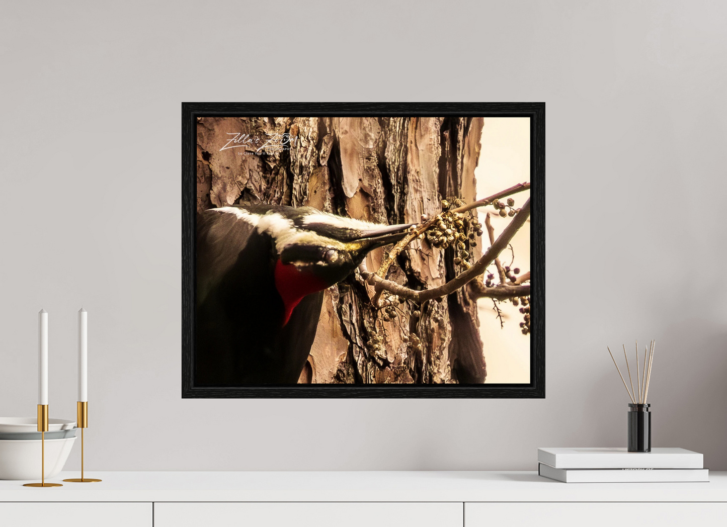 20 x 16″, Floater Frame Zillas Zoom Image 280