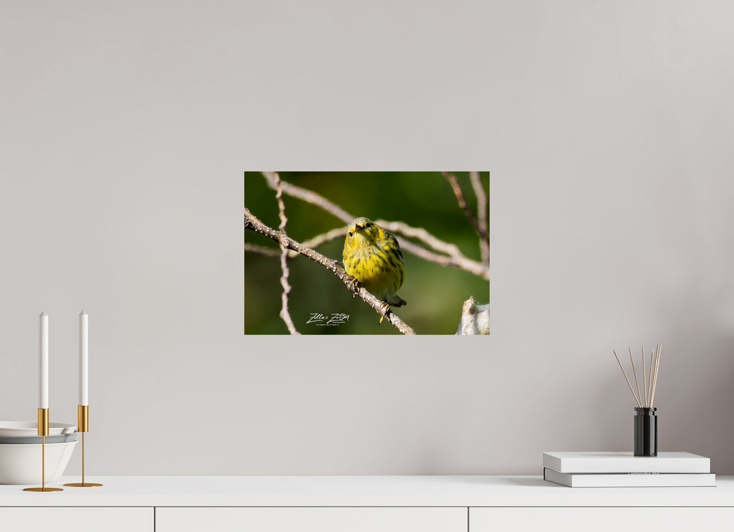 15 x 10″, Photo Print On Fuji Crystal DP II Zillas Zoom Image 307