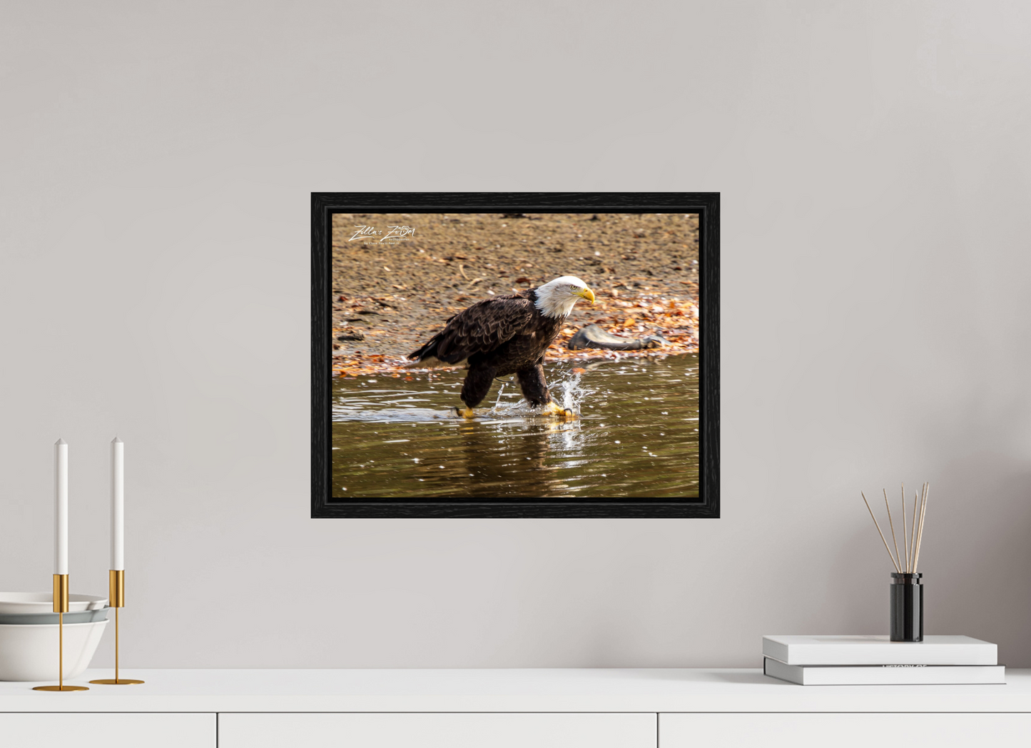 15.5 x 12″, Floater Frame Zillas Zoom Image 303