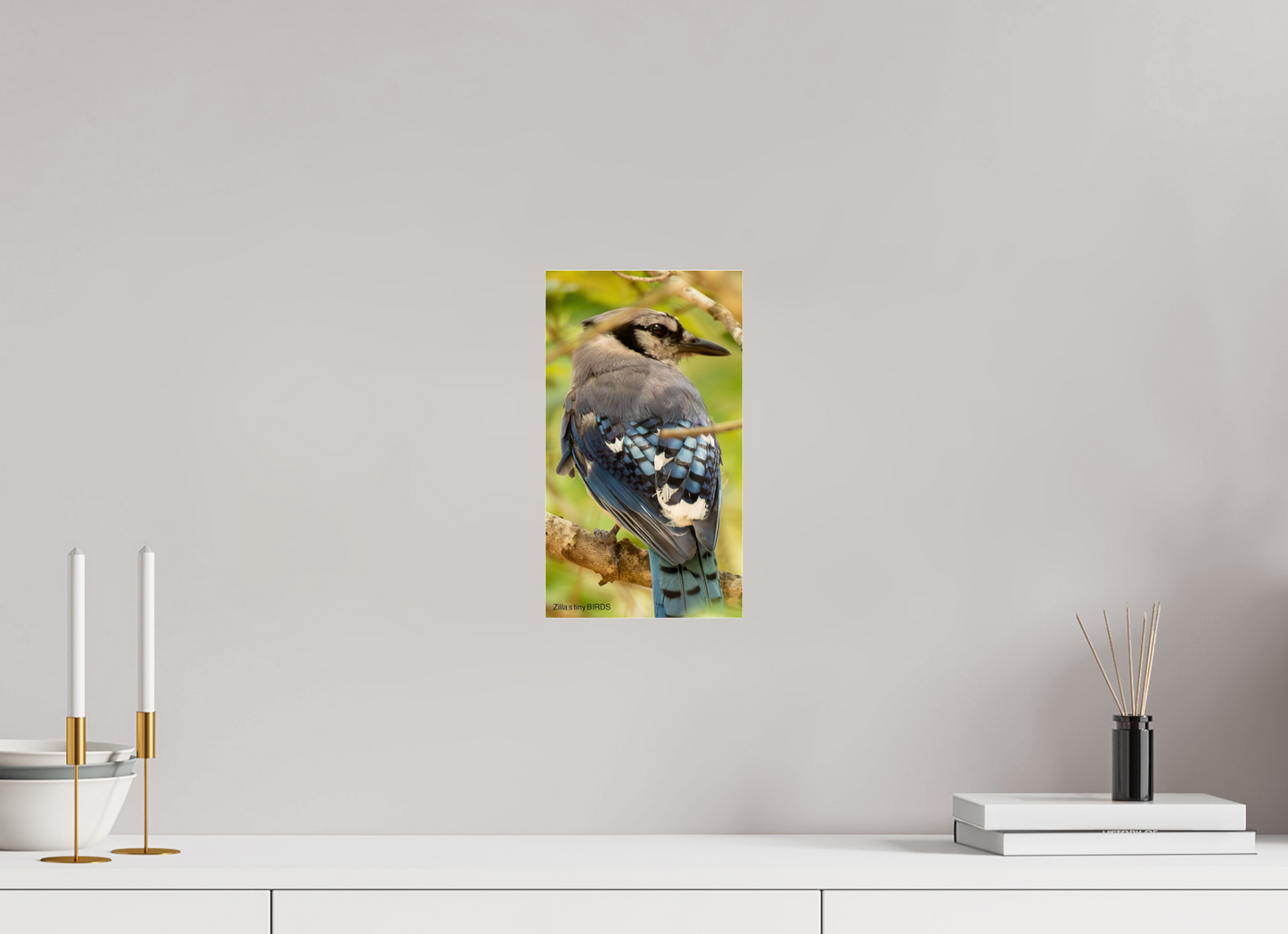 6.8 x 12″, Photo Print Under Acrylic Glass Zillas Zoom Image 487