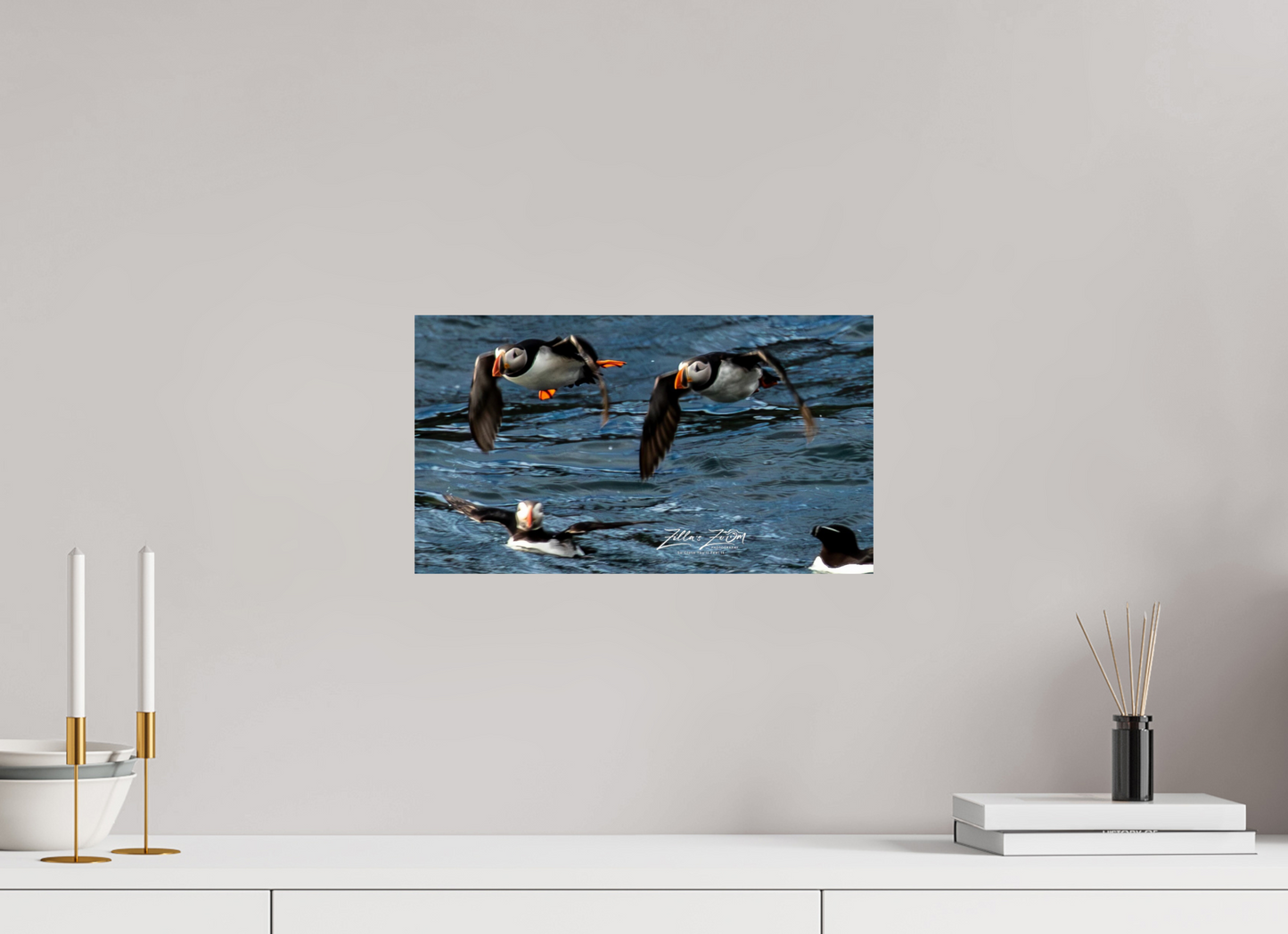16 x 9″, Photo Print On Fuji Crystal DP II Zillas Zoom Image 340