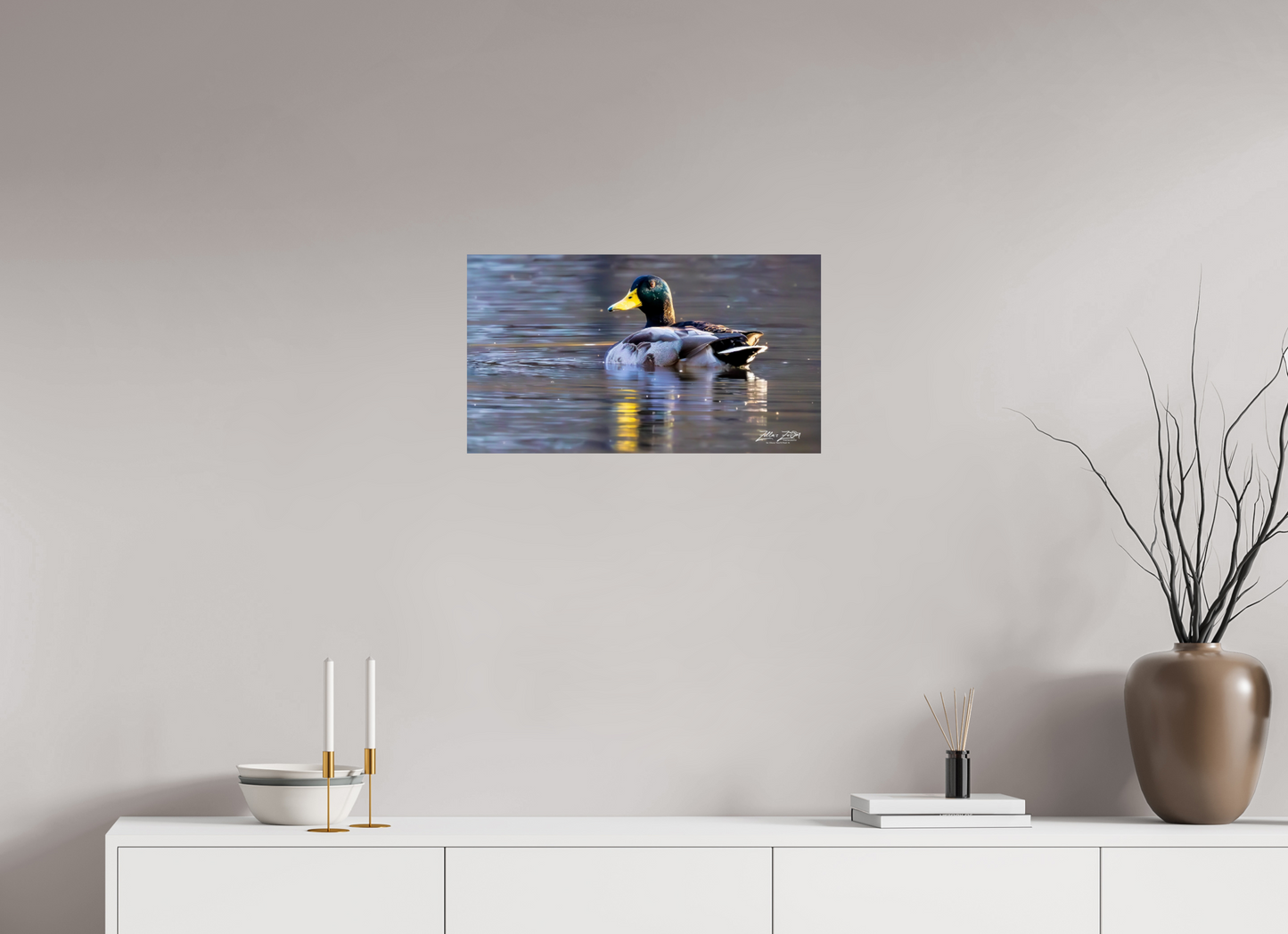 24 x 13.5″, Photo Print On Fuji Crystal DP II Zillas Zoom Image 334