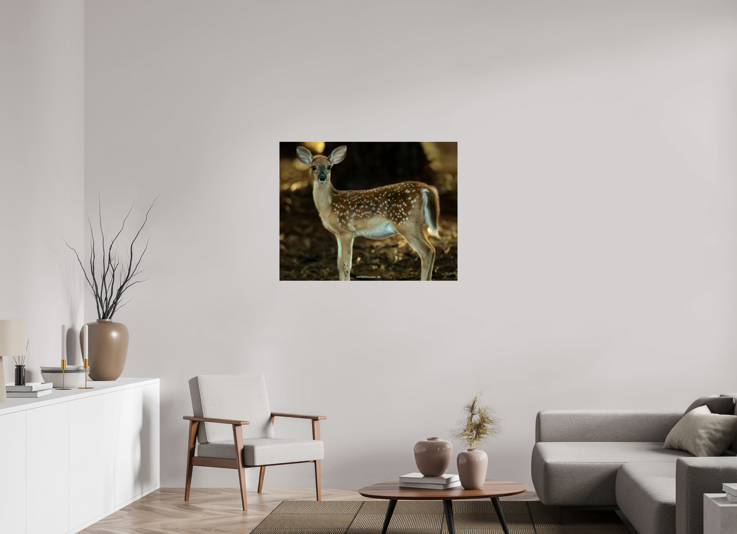 39.6 x 31″, Photo Print Under Acrylic Glass Zillas zoom image 140