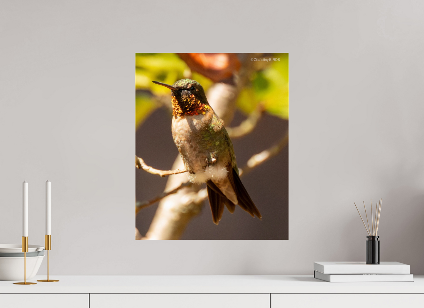 16 x 19.5″, Photo Print Under Acrylic Glass Zillas Zoom Image 454