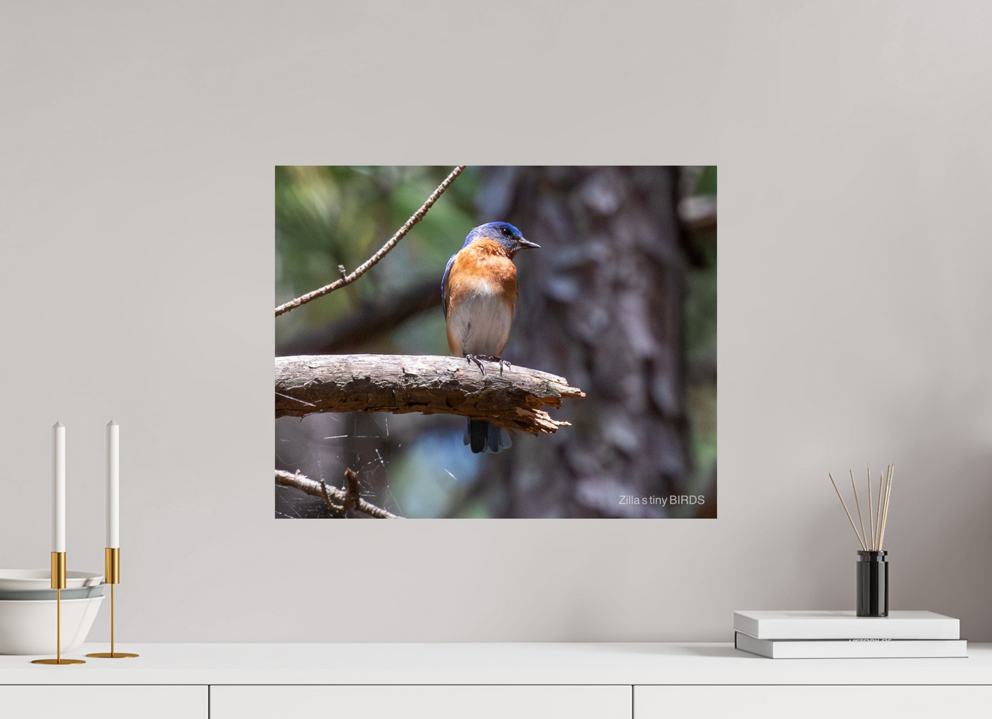 20 x 16″, Photo Print On Fuji Crystal DP II Zillas Zoom Image 368