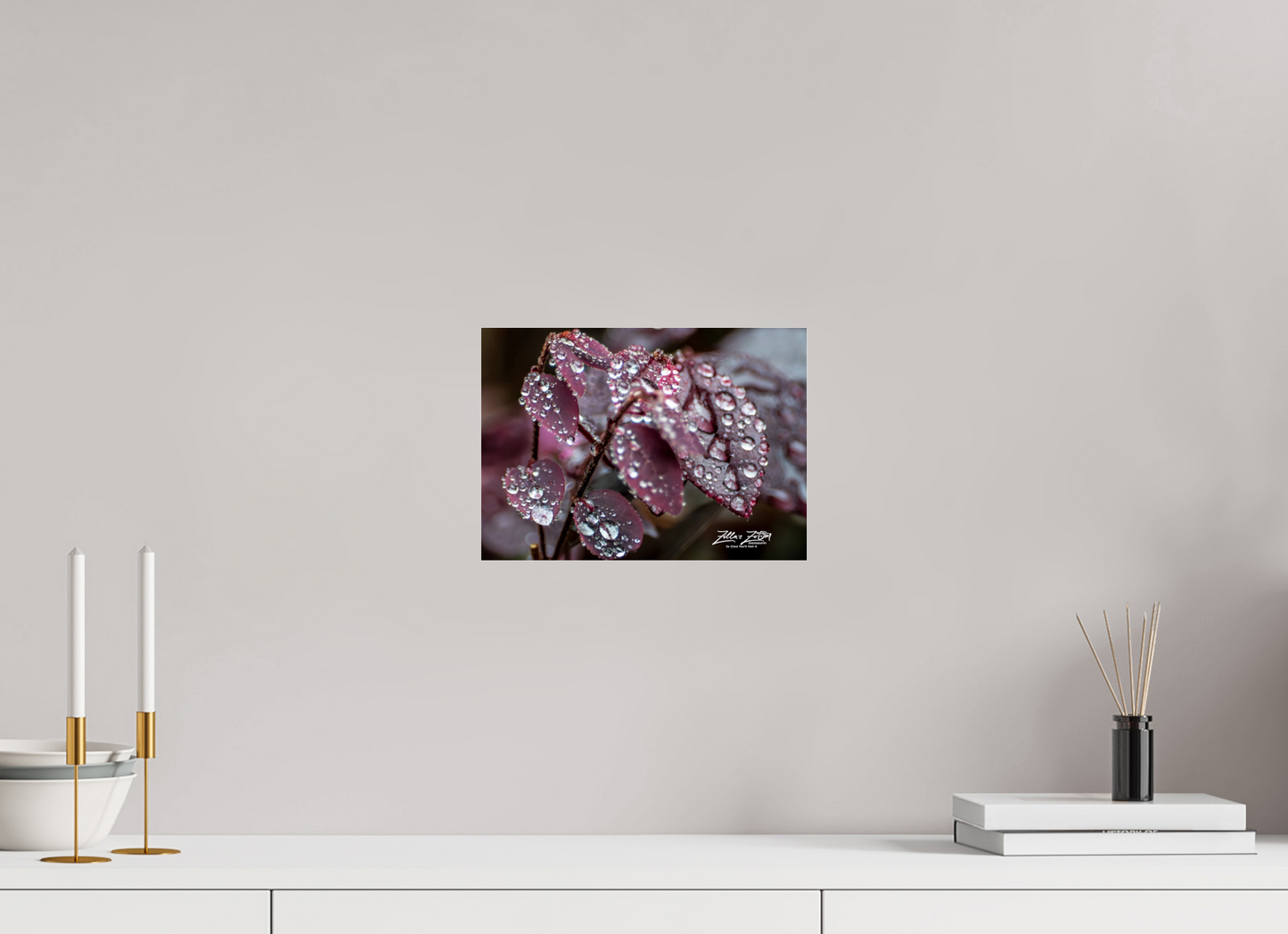 11.2 x 8″, Photo Print Under Acrylic Glass Zillas Zoom Image 100
