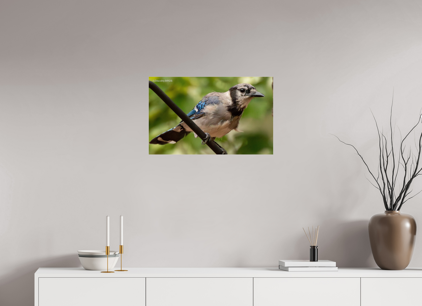 25.6 x 16″, Photo Print Under Acrylic Glass Zillas Zoom Image 348
