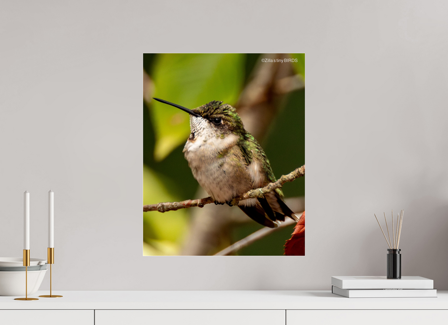 16 x 20″, Photo Print Under Acrylic Glass Zillas Zoom Image 515