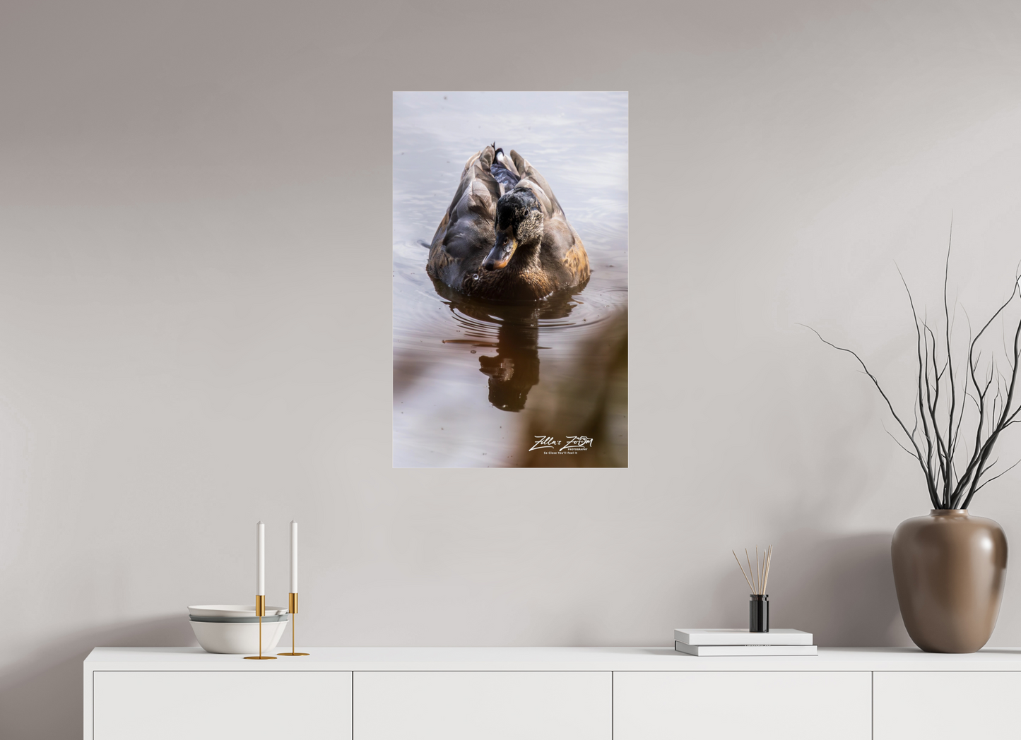 20 x 32″, Photo Print Under Acrylic Glass Zillas Zoom Image 433