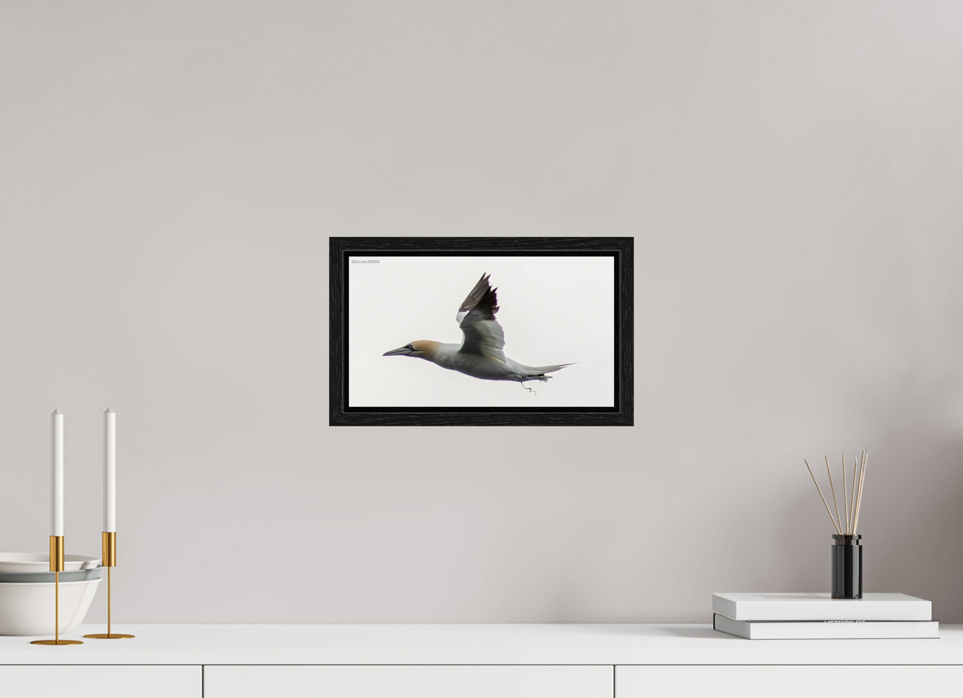 12 x 6.8″, Floater Frame Zillas Zoom Image 331