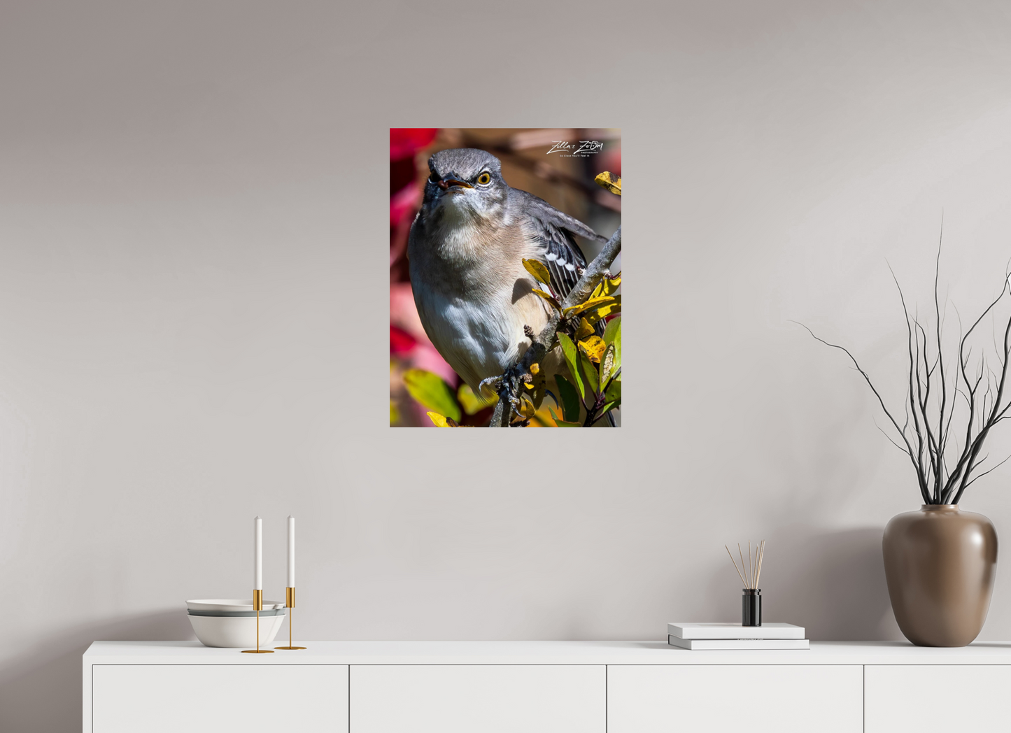 20 x 25.9″, Photo Print On Fuji Crystal DP II Zillas Zoom Image 402