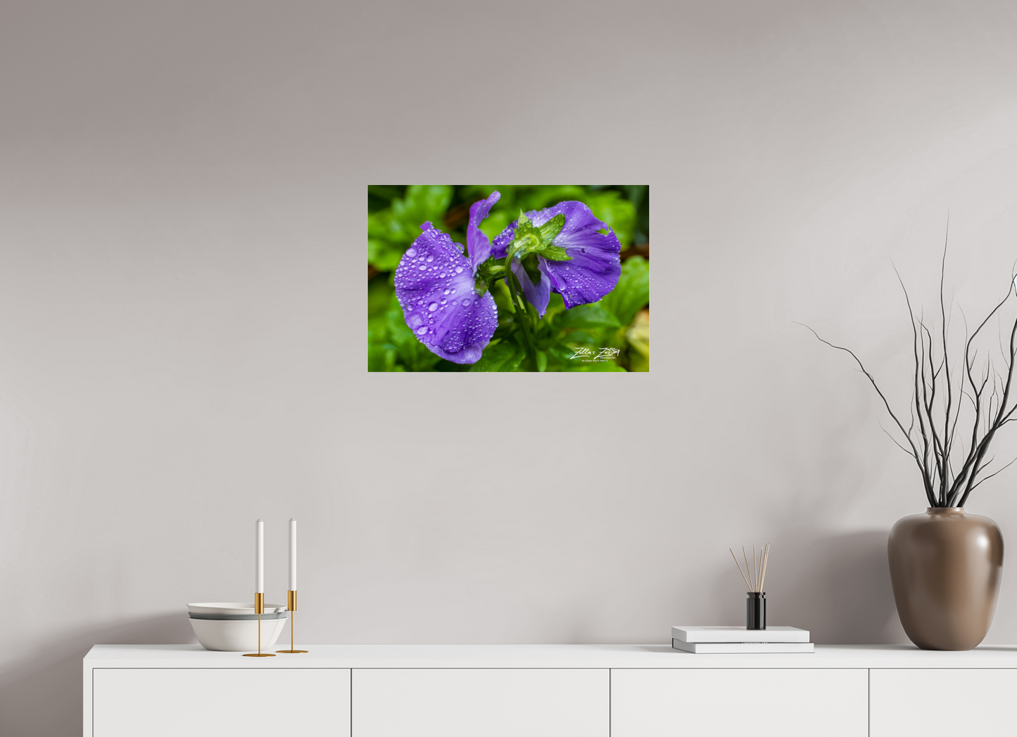 24 x 16″, Photo Print Under Acrylic Glass Zillas Zoom Image 93