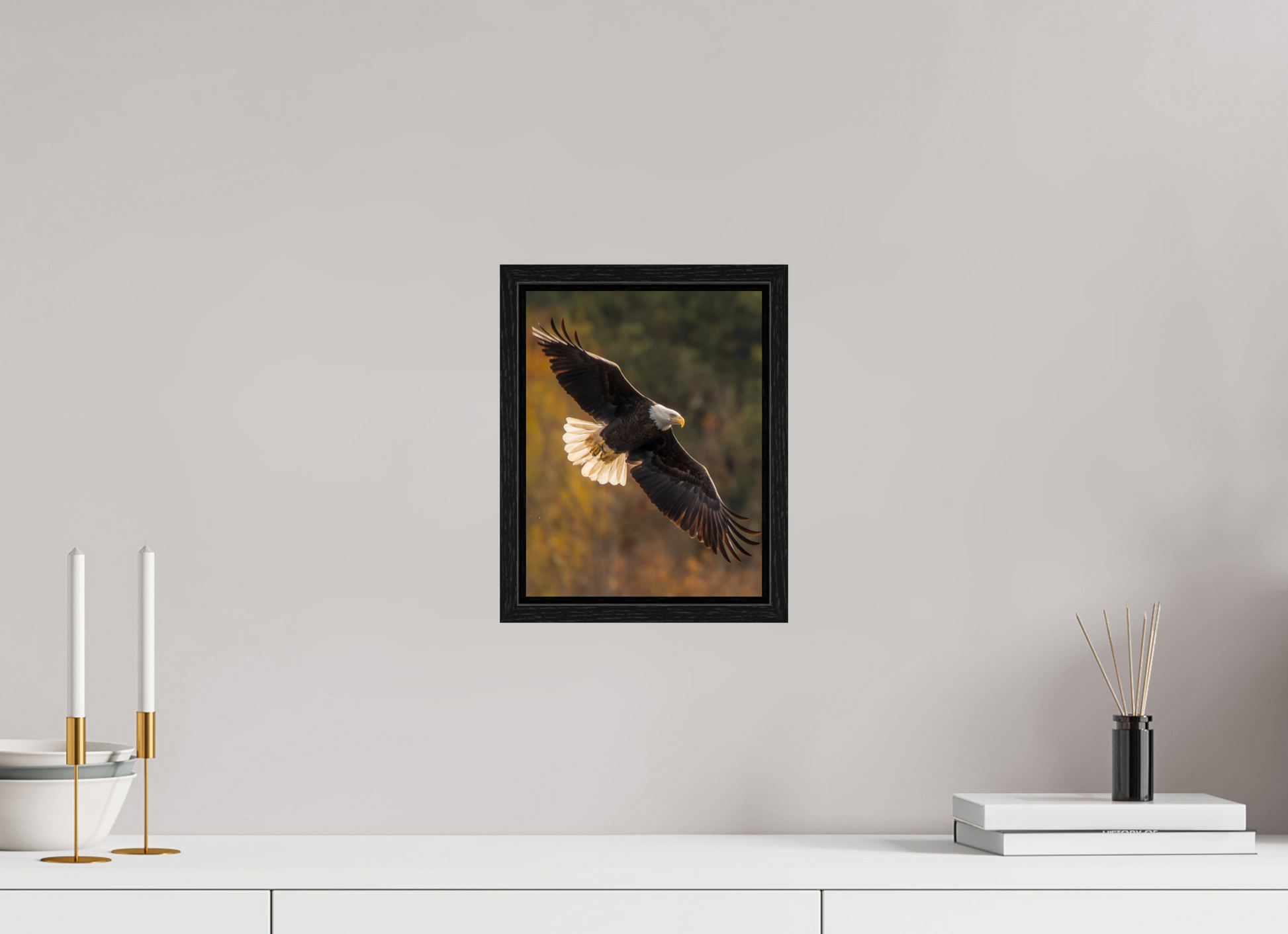 8 x 10.4″, Floater Frame Zillas Zoom Image 495