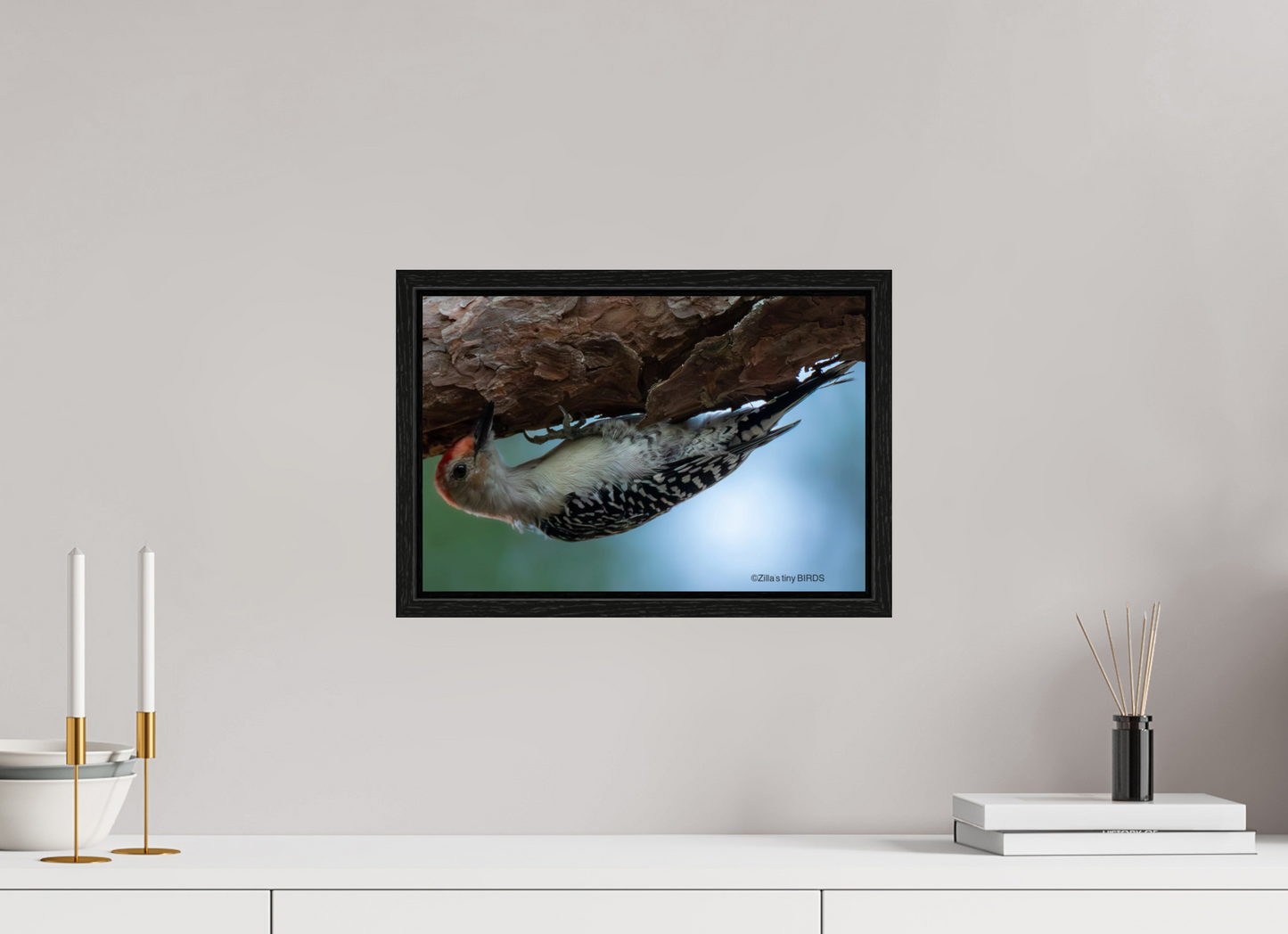 15 x 10″, Floater Frame Zillas Zoom Image 319
