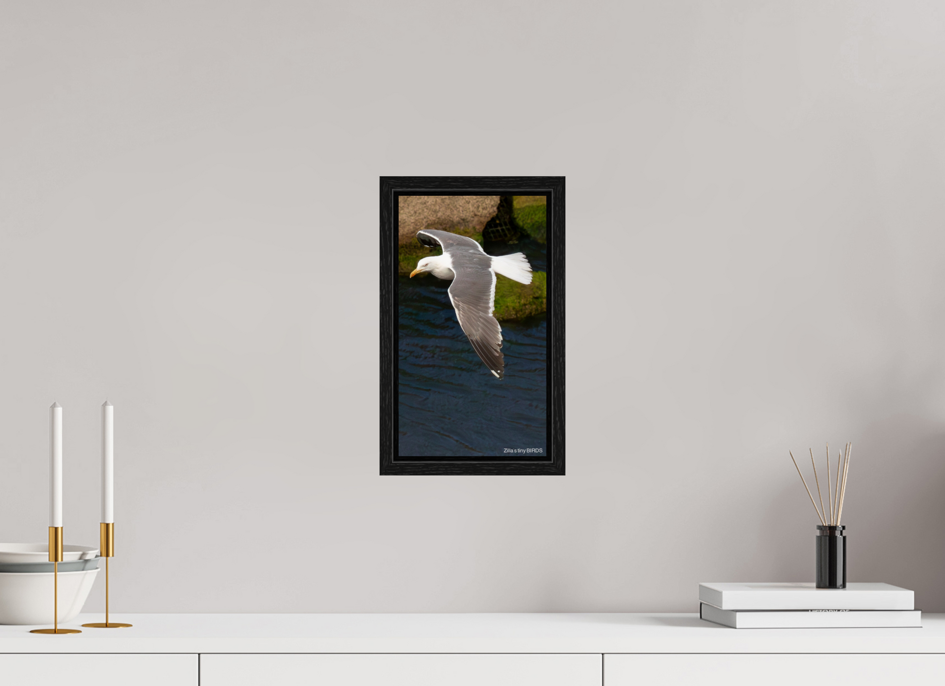 6.8 x 12″, Floater Frame Zillas Zoom Image 476