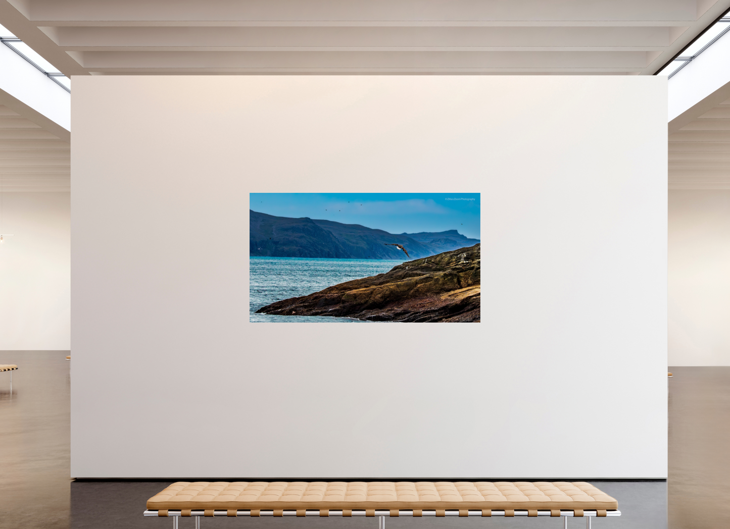 80 x 45″, Photo Print On Fuji Crystal DP II Zillas Zoom Image 220