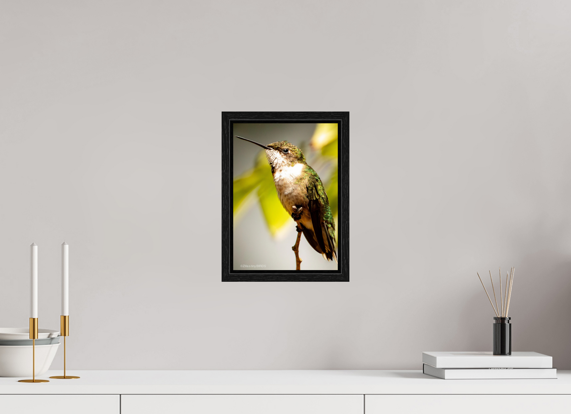 8 x 11.2″, Floater Frame Zillas Zoom Image 473