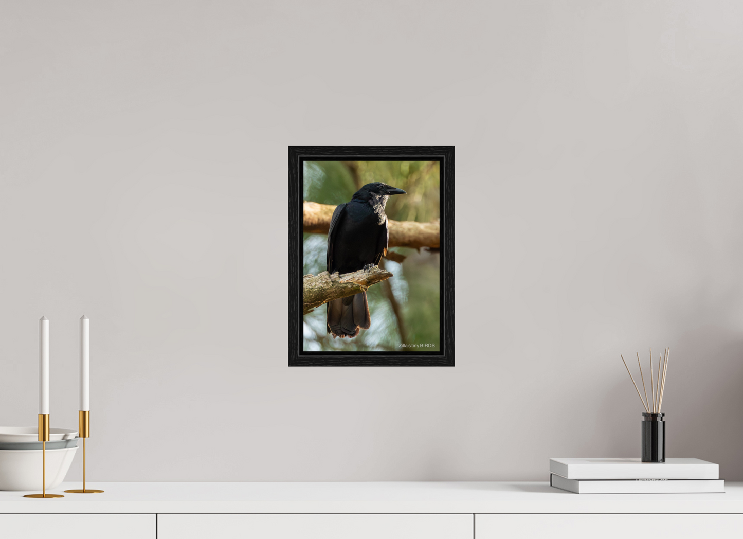 8 x 11.2″, Floater Frame Zillas Zoom Image 523