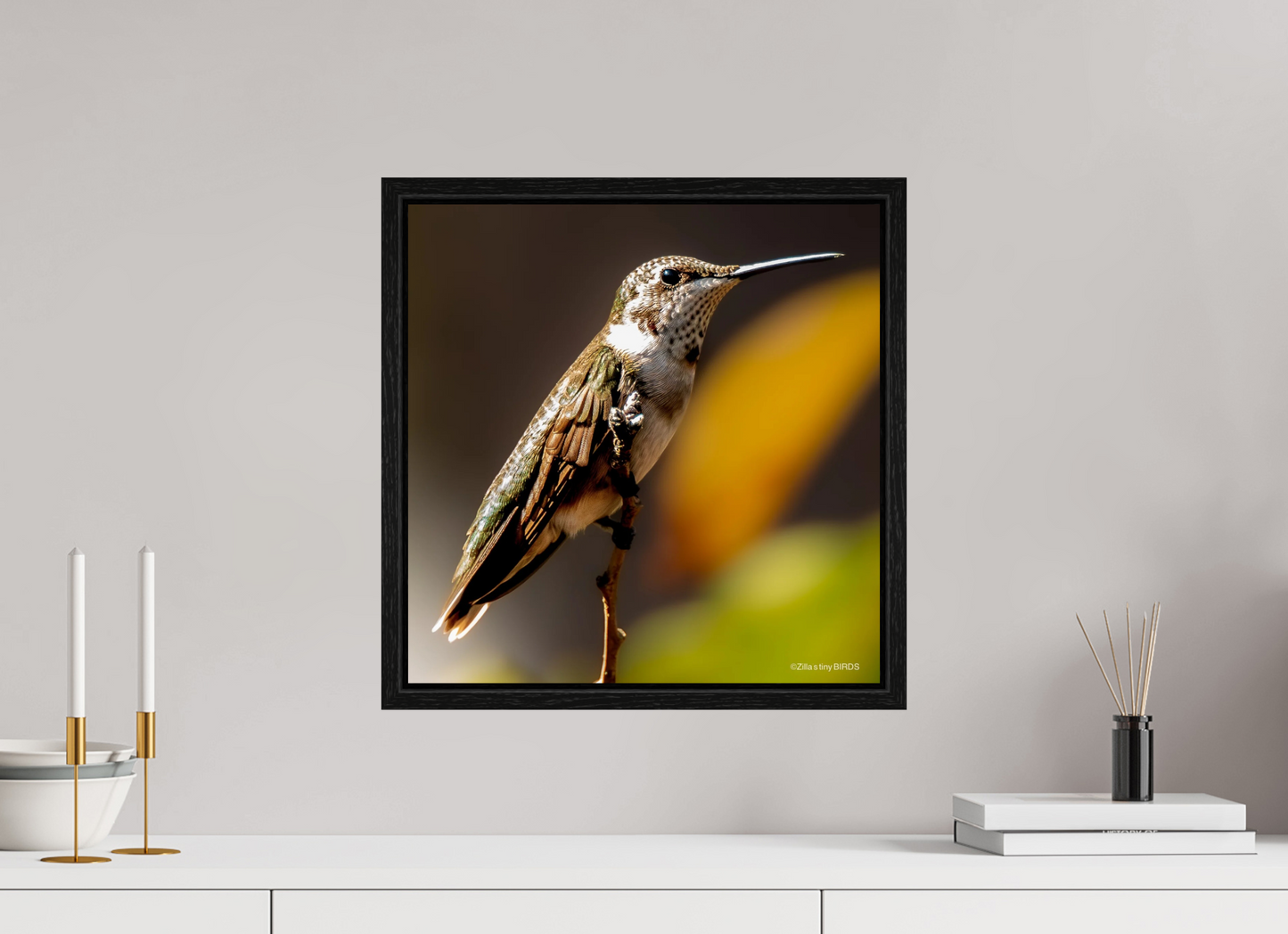 16 x 16.2″, Floater Frame Zillas Zoom Image 359