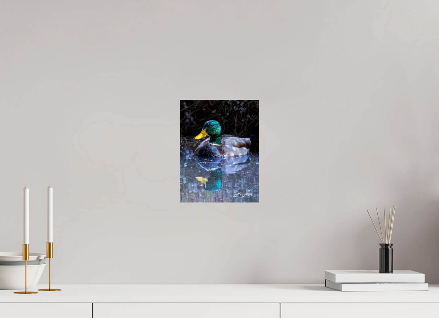 8 x 10.4″, Photo Print Under Acrylic Glass Zillas Zoom Image 422