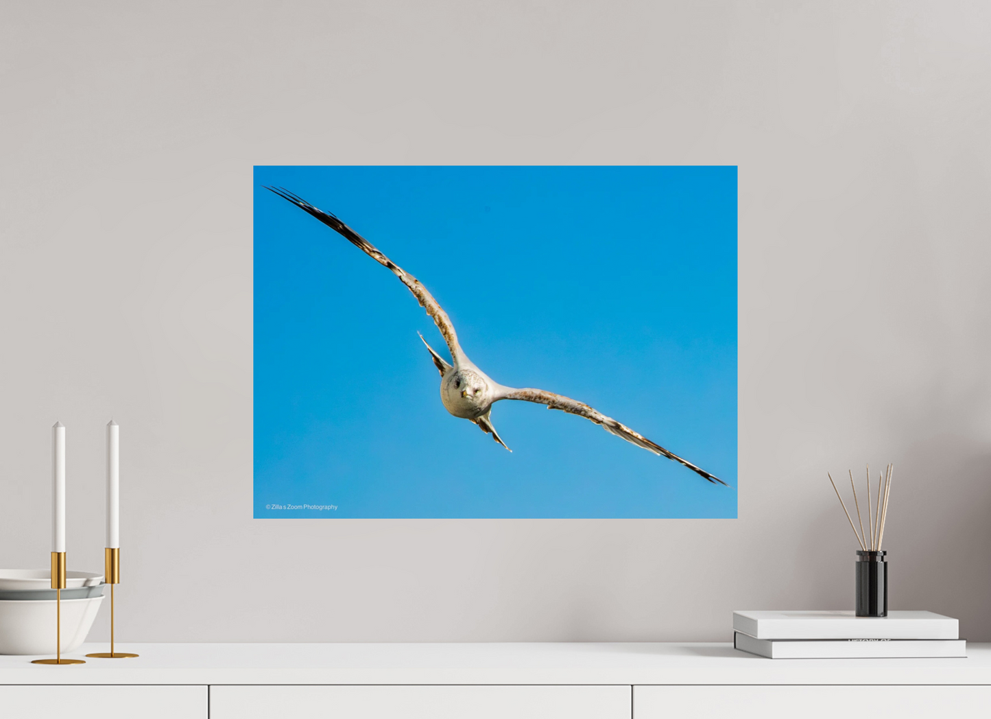 21.9 x 16″, Photo Print On Fuji Crystal DP II Zillas Zoom Image 365