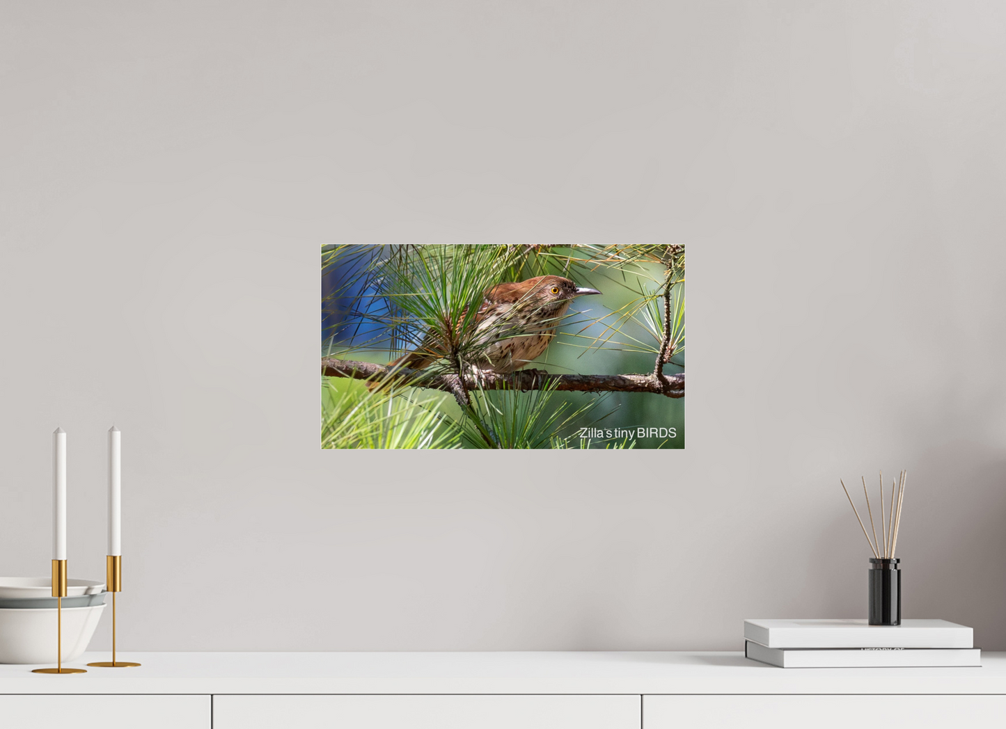 16 x 9″, Photo Print Under Acrylic Glass Zillas Zoom Image 379