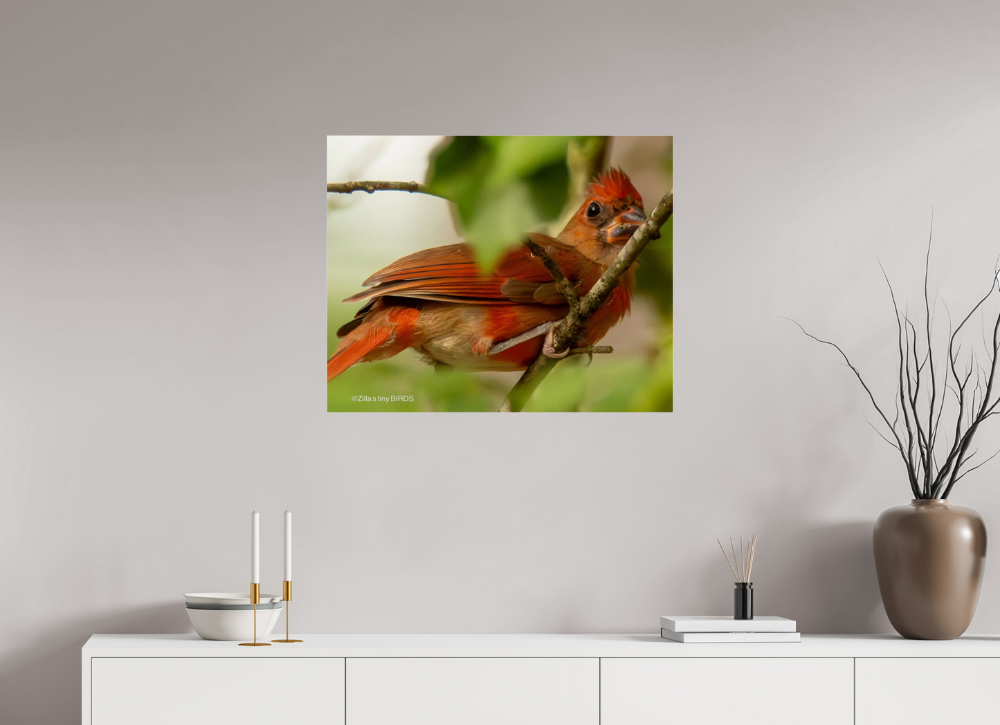 30 x 24″, Photo Print Under Acrylic Glass Zillas Zoom Image 317