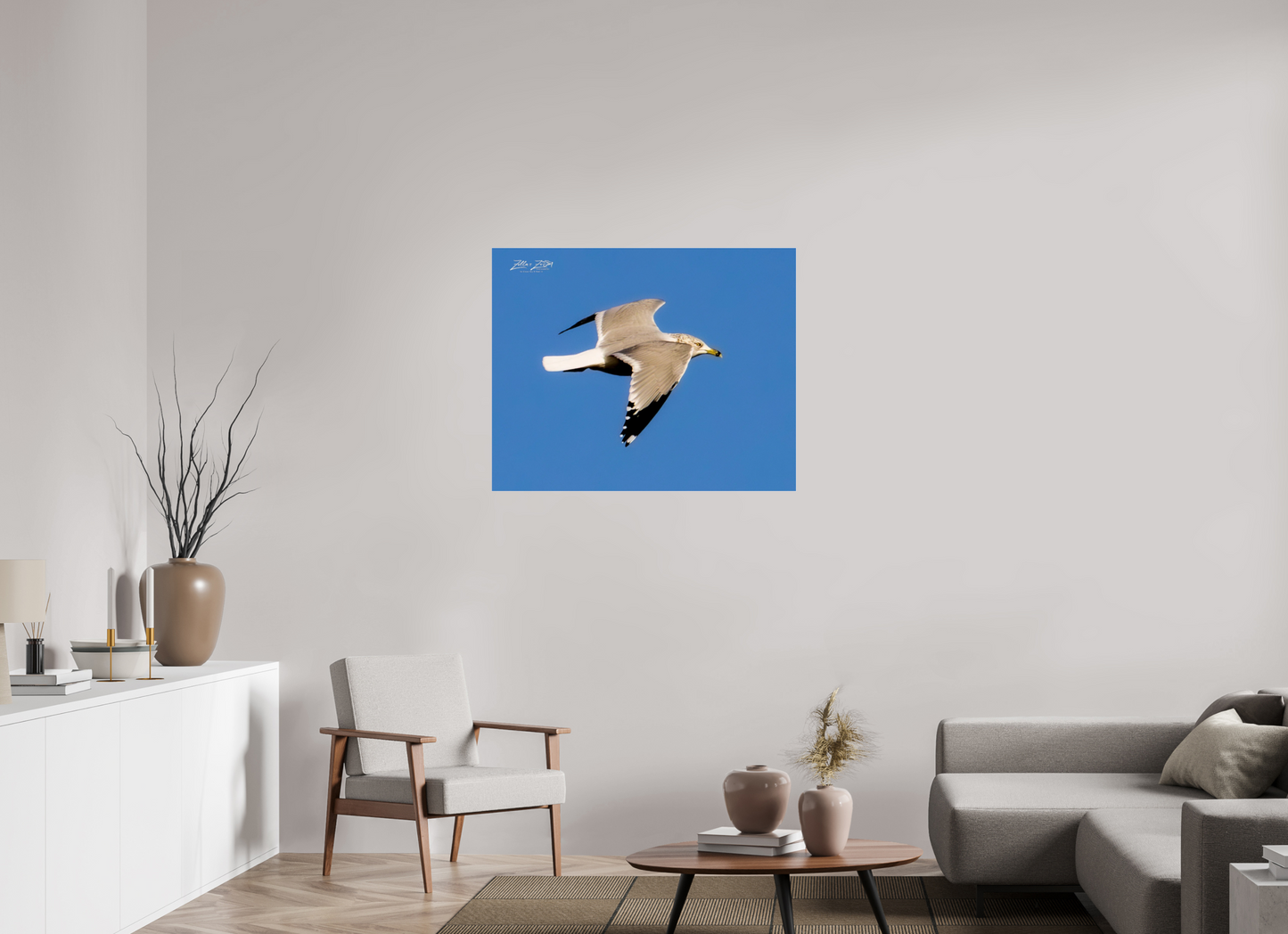 38.7 x 31″, Photo Print Under Acrylic Glass Zillas Zoom Image 266