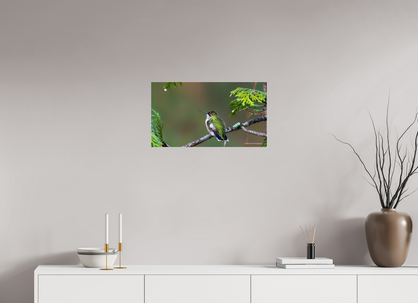 24 x 13.5″, Photo Print Under Acrylic Glass Zillas Zoom Image 309