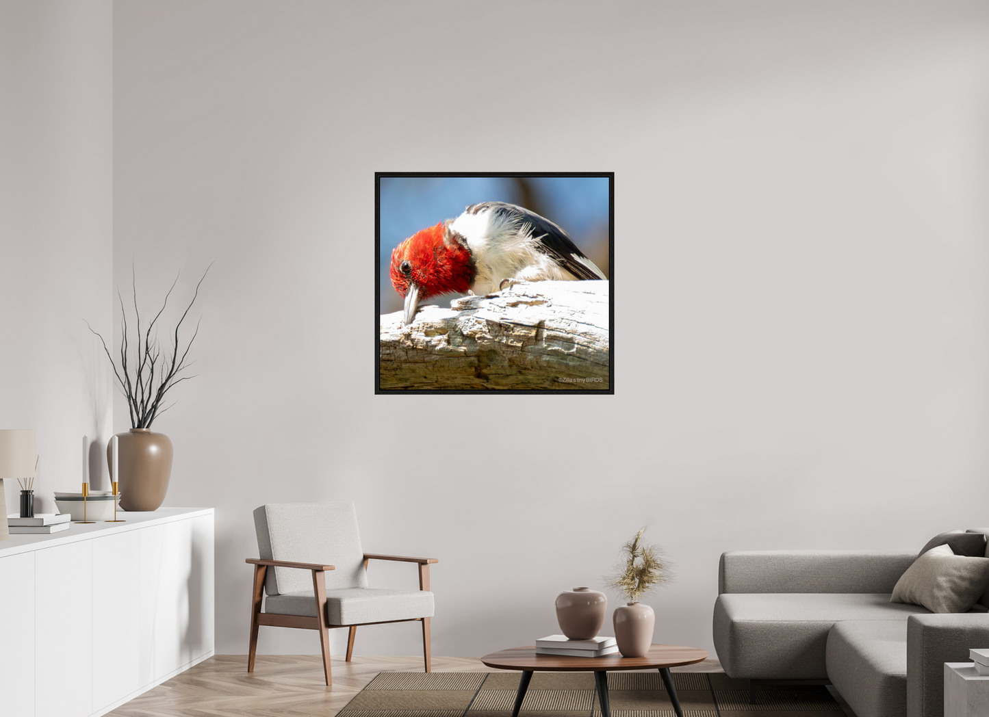 37.8 x 35″, Floater Frame Zillas Zoom Image 270