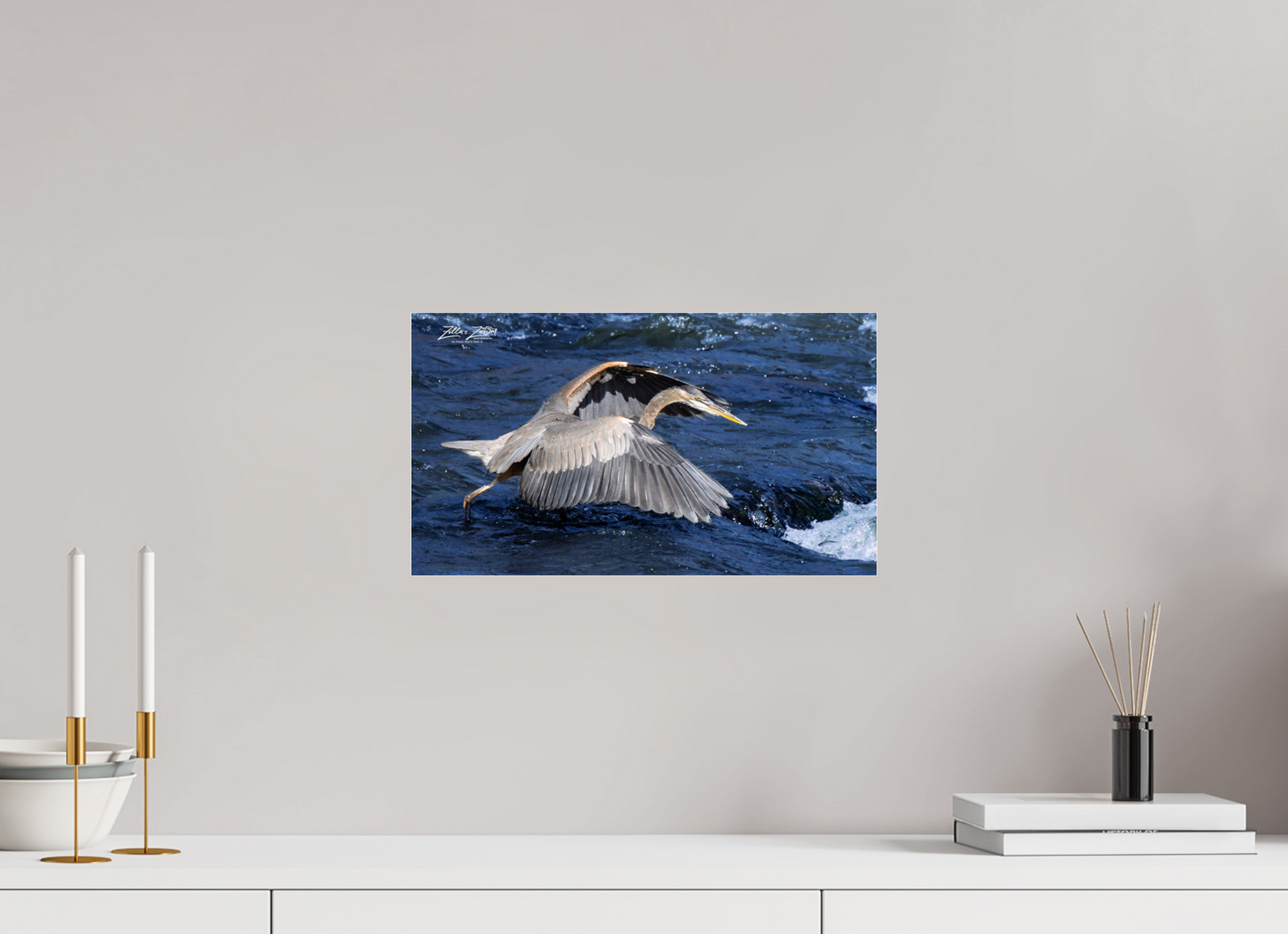 16 x 9″, Photo Print Under Acrylic Glass Zillas Zoom Image 286