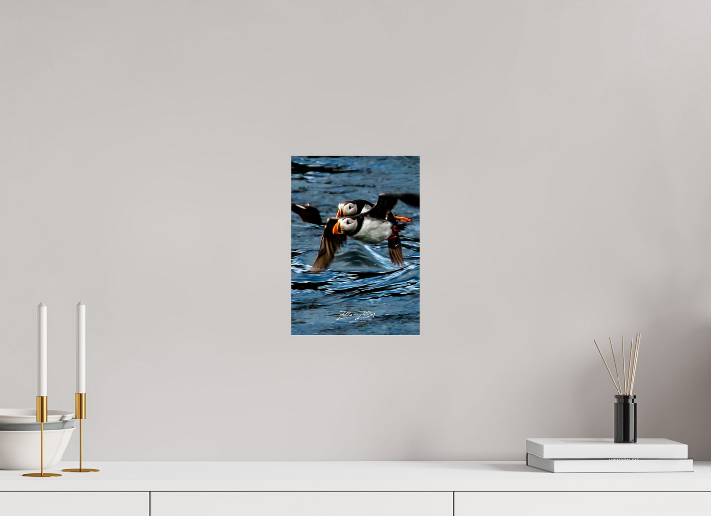 8 x 11.2″, Photo Print Under Acrylic Glass Zillas Zoom Image 451