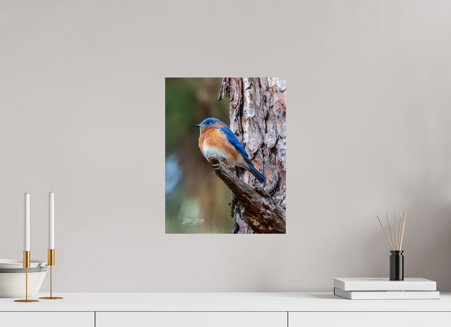 12 x 15.6″, Photo Print On Fuji Crystal DP II Zillas Zoom Image 512