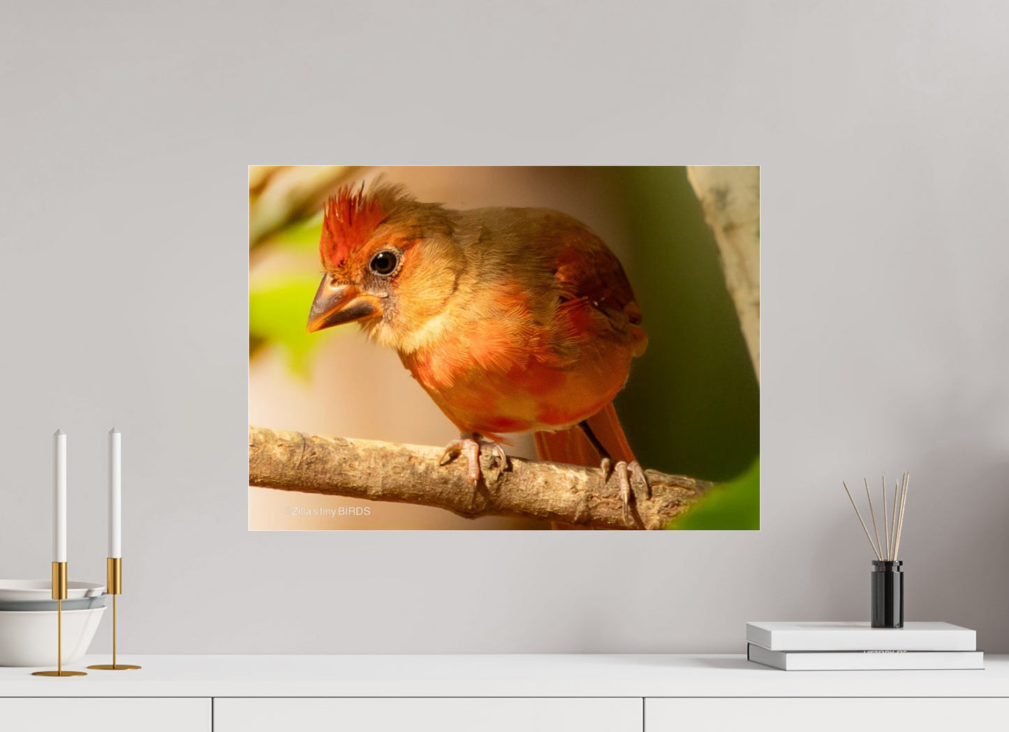 22.4 x 16″, Photo Print Under Acrylic Glass Zillas Zoom Image 316