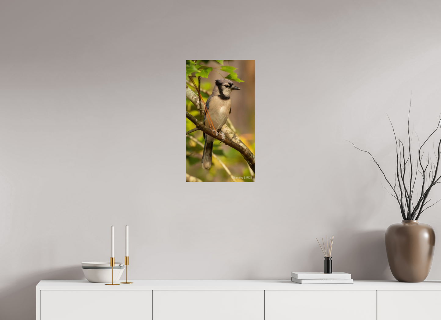 13.5 x 24″, Photo Print Under Acrylic Glass Zillas Zoom Image 491