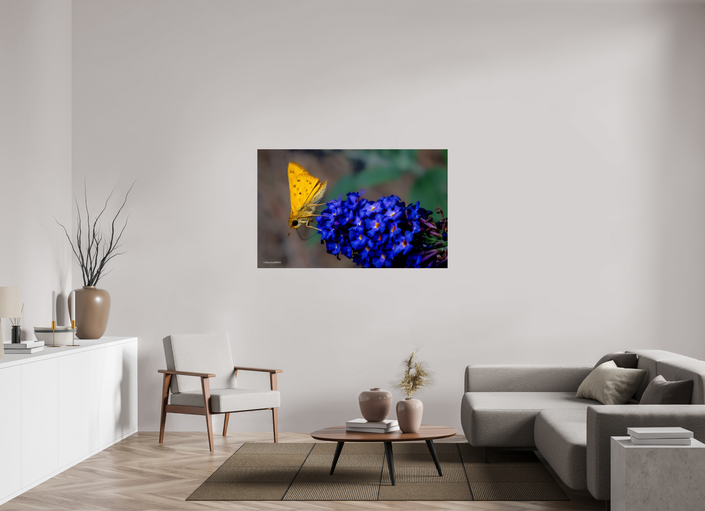 56 x 35″, Photo Print On Fuji Crystal DP II Zillas Zoom Image 61