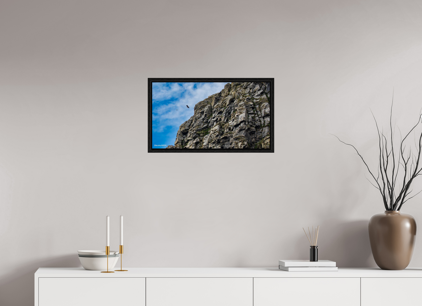 24 x 13.5″, Floater Frame Zillas Zoom Image 215