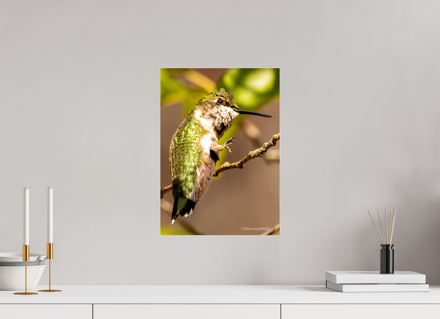 12 x 16.8″, Photo Print Under Acrylic Glass Zillas Zoom Image 471