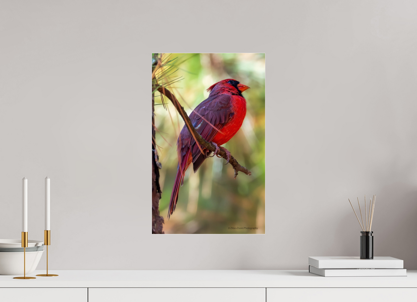 12 x 19.2″, Photo Print Under Acrylic Glass Zillas Zoom Image 430