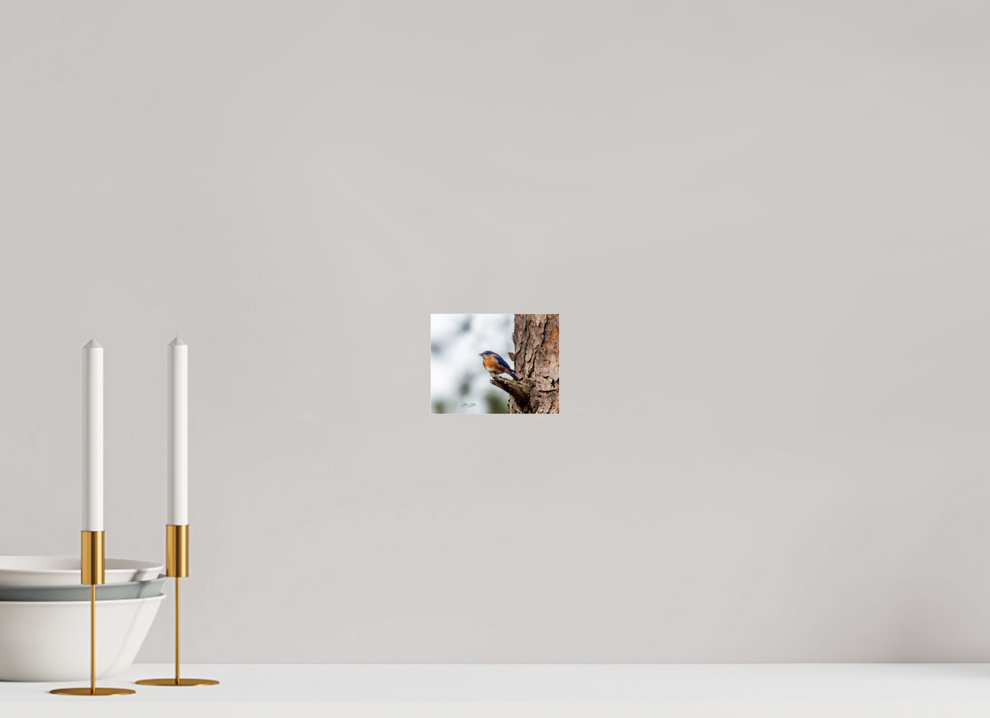 5.2 x 4″, Photo Print Under Acrylic Glass Zillas Zoom Image 349