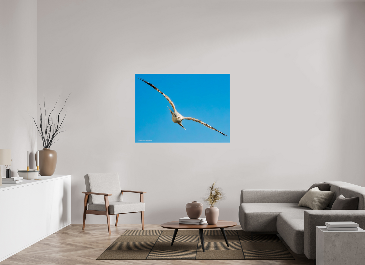 53.5 x 39″, Photo Print Under Acrylic Glass Zillas Zoom Image 365