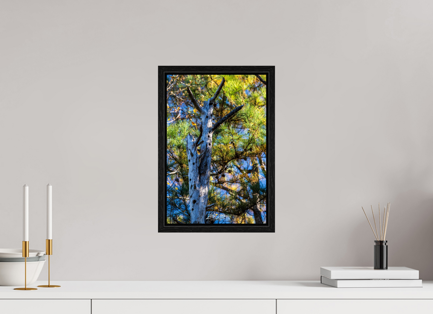 10 x 15″, Floater Frame Zillas Zoom Image 252