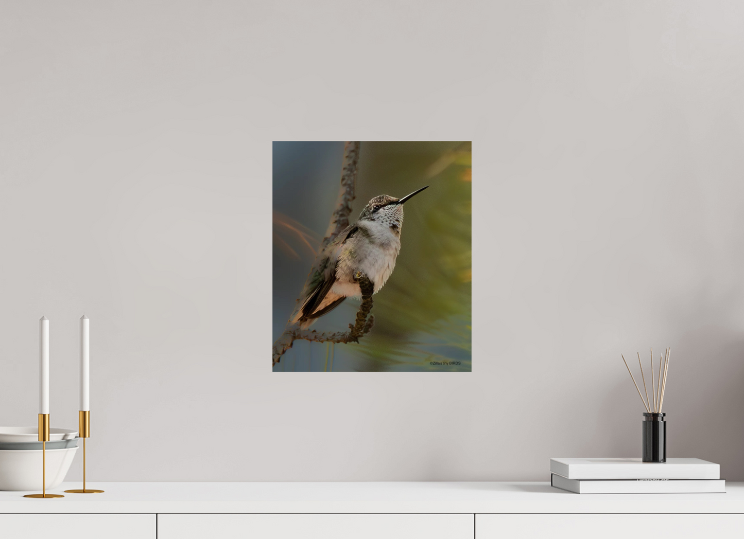 12 x 13.9″, Photo Print On Fuji Crystal DP II Zillas Zoom Image 499