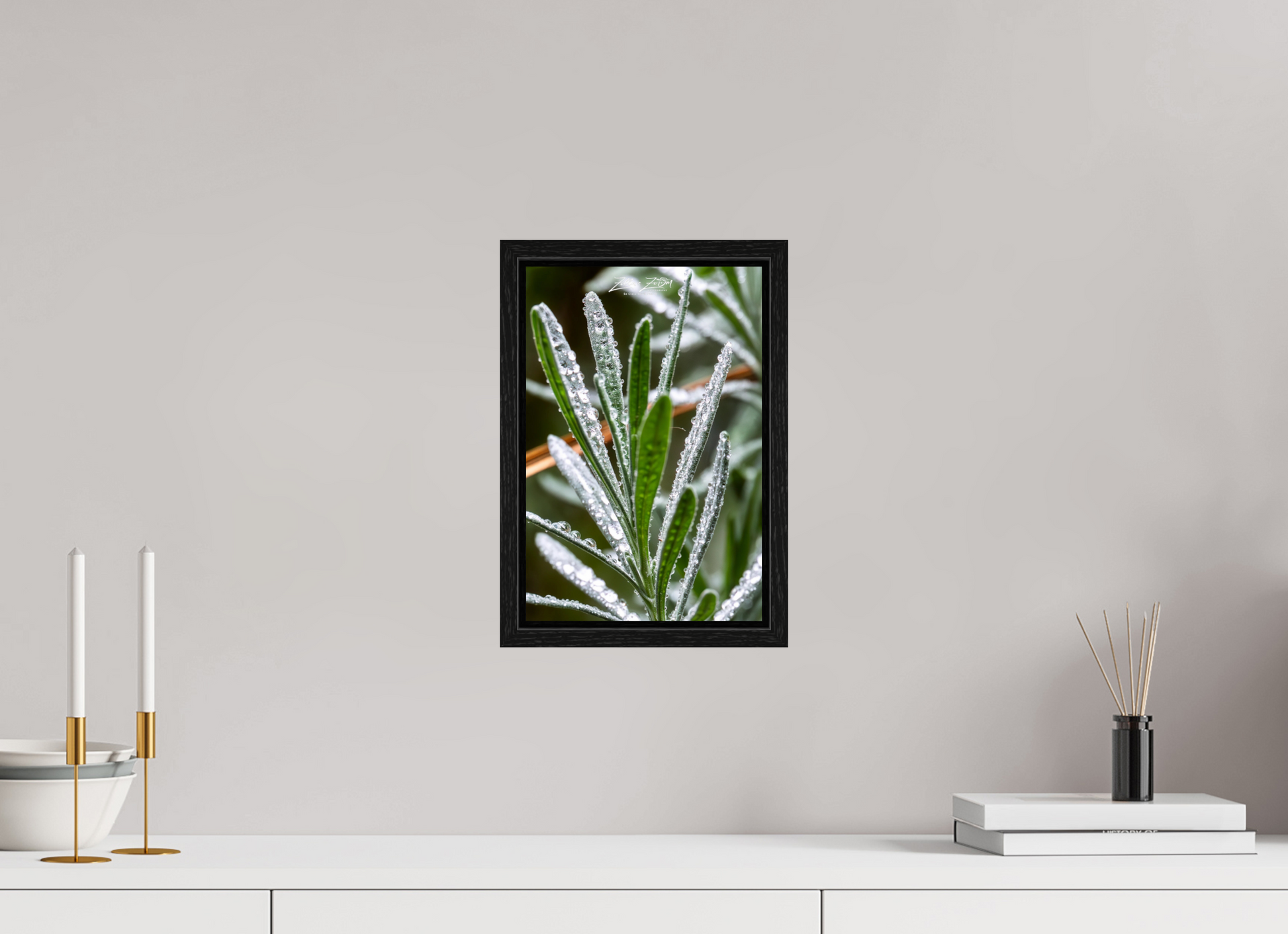 8 x 12″, Floater Frame Zillas Zoom Image 110