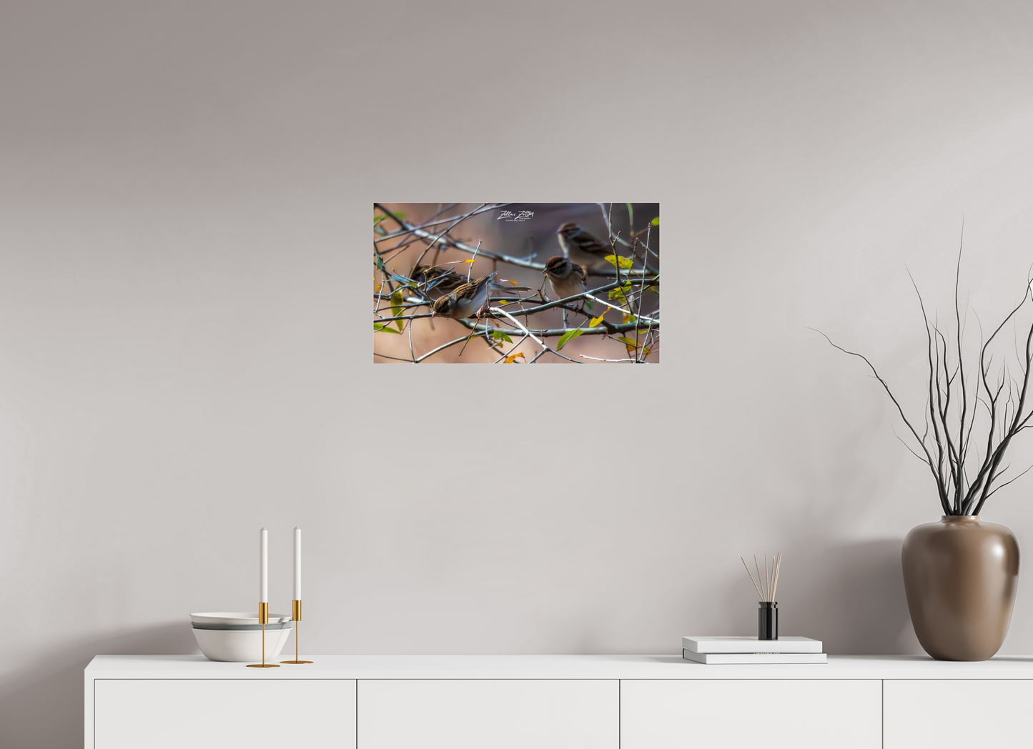 24 x 13.5″, Photo Print Under Acrylic Glass Zillas Zoom Image 304